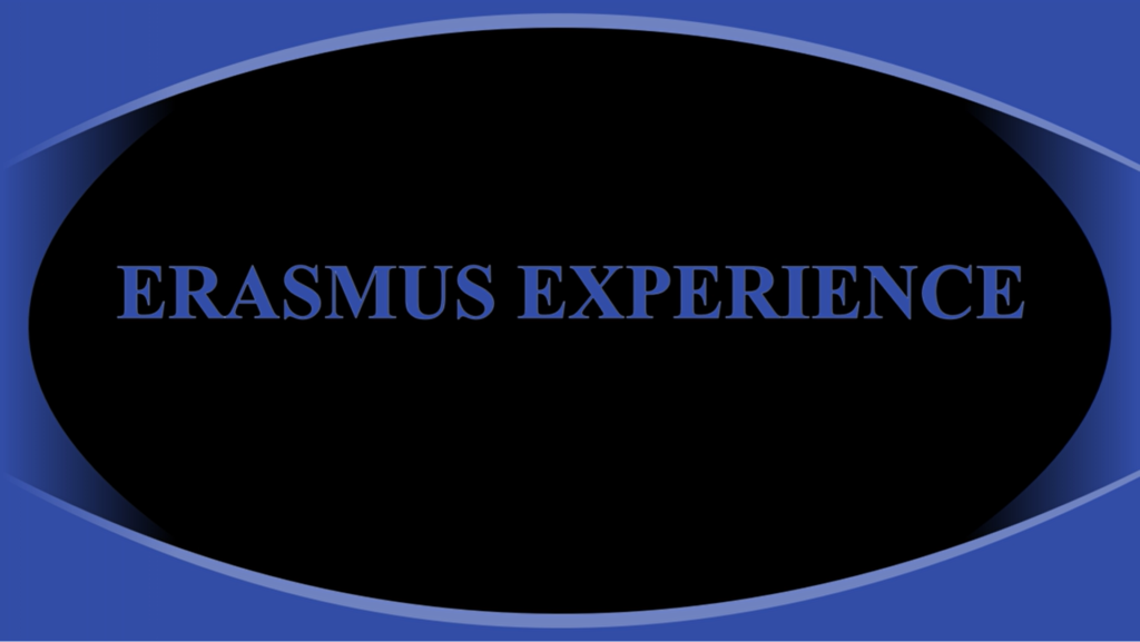 Erasmus Experience